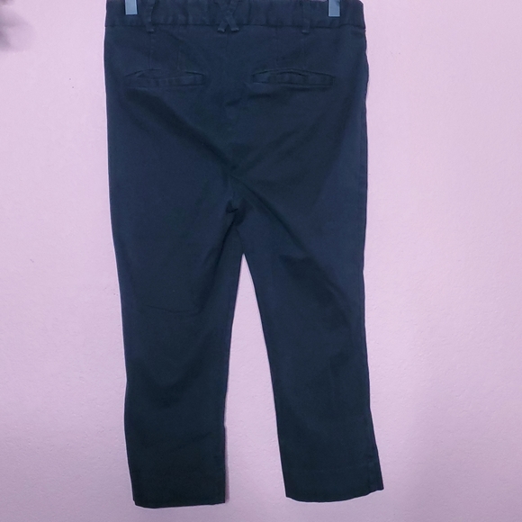 Anthropologie Cropped Skinny Pedal Pusher Pants - Picture 9 of 11